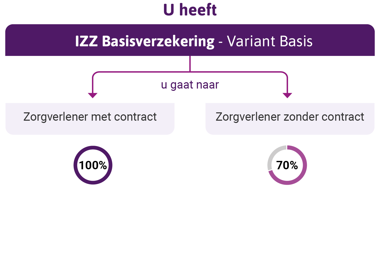 infographic over IZZ Basis basisverzekering