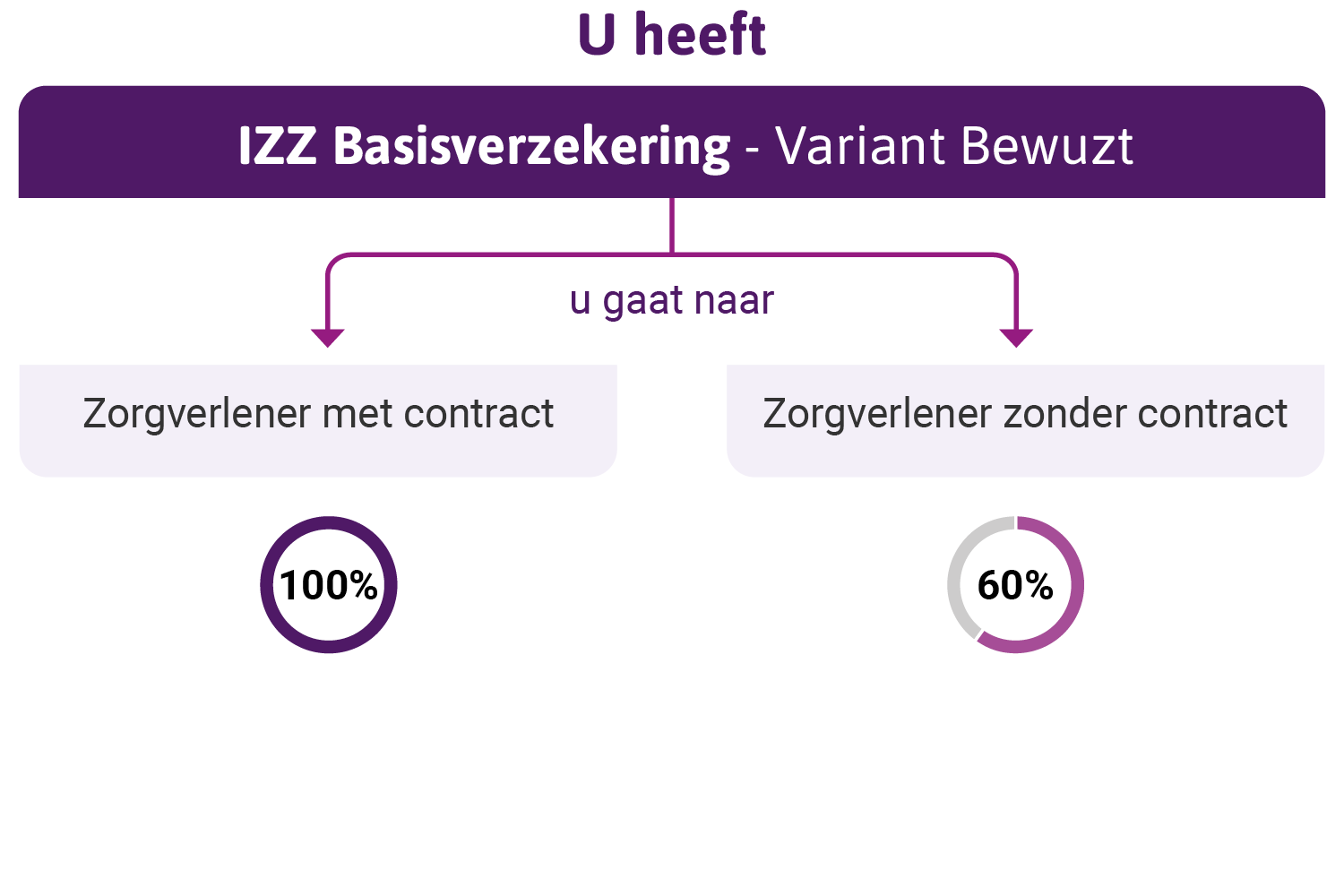 infographic over IZZ Bewuzt basisverzekering